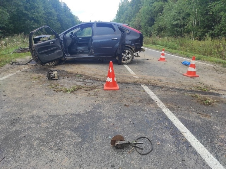 За минувшие сутки в ДТП на Вологодчине погибли два человека