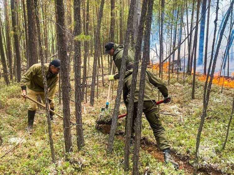 Якутия получит 468 млн рублей на борьбу с лесными пожарами