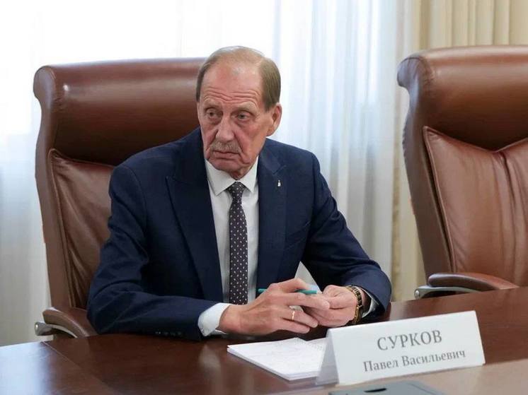 Новым мэром Саратова может стать Павел Сурков