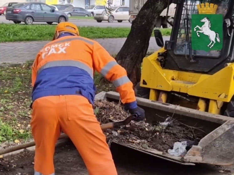 "Томск САХ" начал уборку территорий к 1 сентября