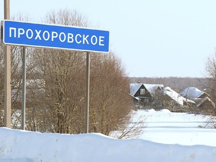 В Ярославле назвали дату готовности проекта  нового кладбища