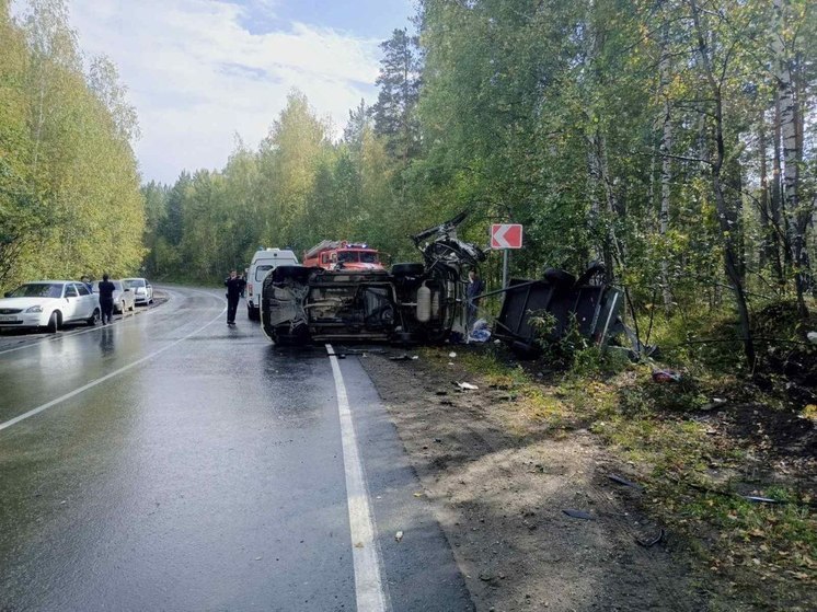 В Челябинской области школьник погиб в ДТП с грузовиком