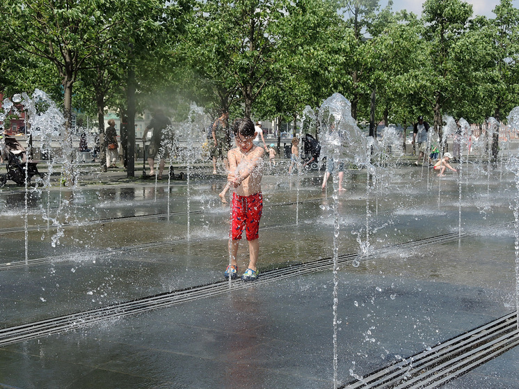 Аномальная жара ожидается в Подмосковье на этих выходных