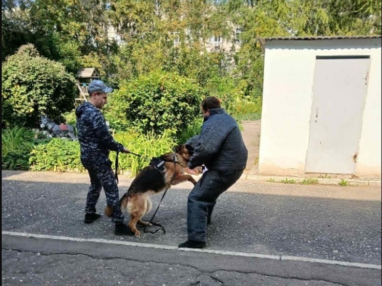 Владимирский детский дом принял участие в квесте УМВД