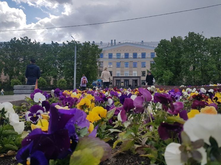 Ученые объяснили, почему филология попала в топ направлений в ПетрГУ