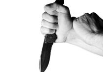 Не менее пяти человек получили ранения при нападении женщины с ножом в автобусе на западе Германии в городе Зиген, сообщает ТАСС со ссылкой на газету Bild