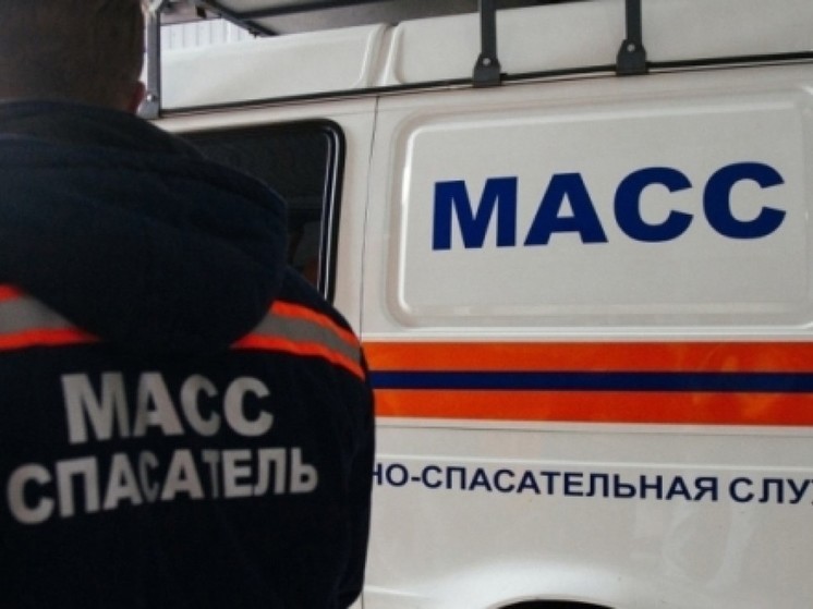 Трупный запах из квартиры обеспокоил жителей Первомайского района Новосибирска
