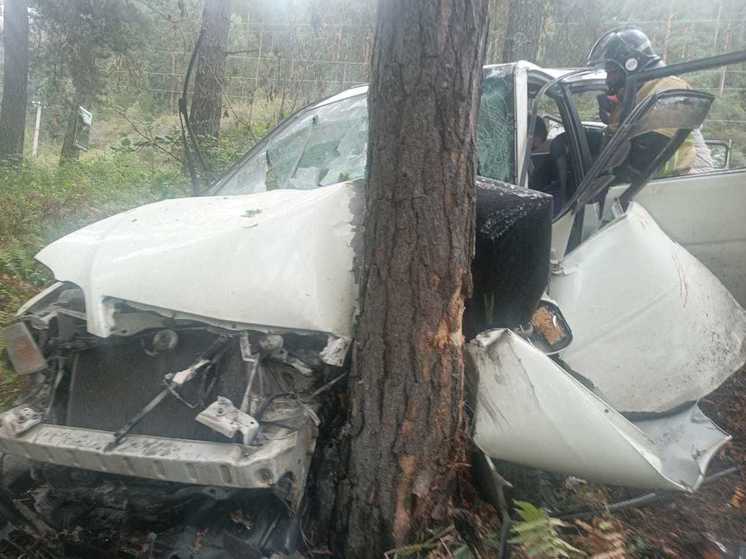 На Алтае автомобиль врезался в дерево, погибла пассажирка