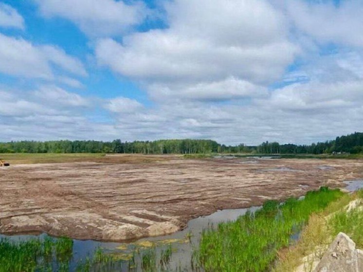 Крупную свалку в Нижегородской области ликвидировали досрочно