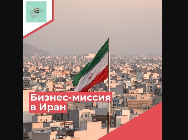 Предпринимателей Новгородской области приглашают в деловую поездку в Иран