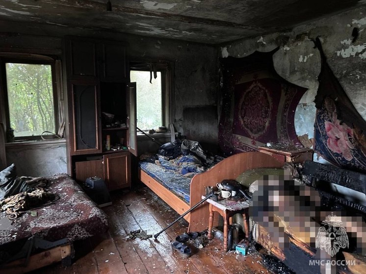 Пенсионер сгорел на диване в доме под Читой
