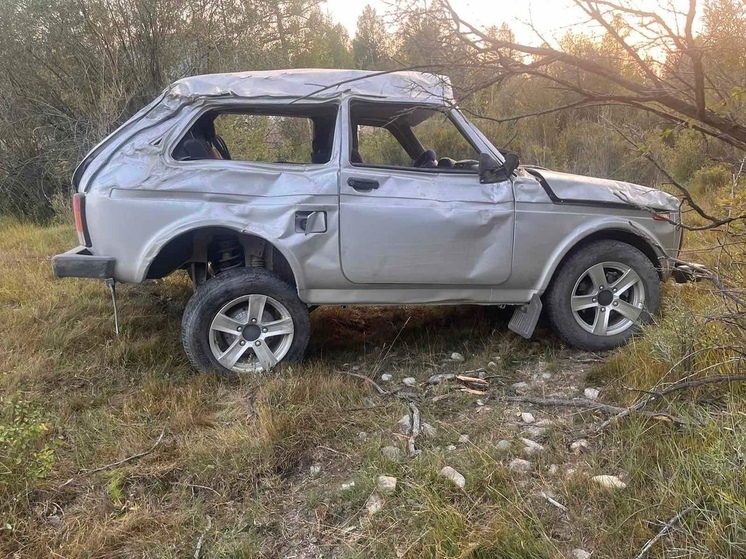 В Туве по вине пьяного водителя  в ДТП пострадал 10-месячный ребенок