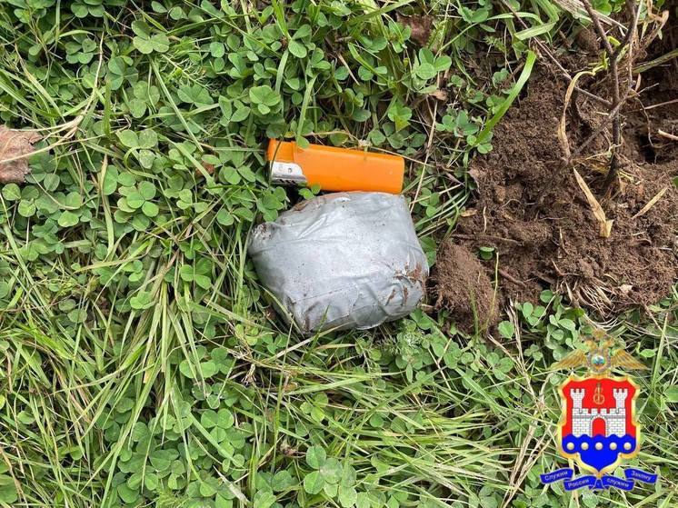 Полицейские изъяли у калининградца более 200 граммов амфетамина и гашиша