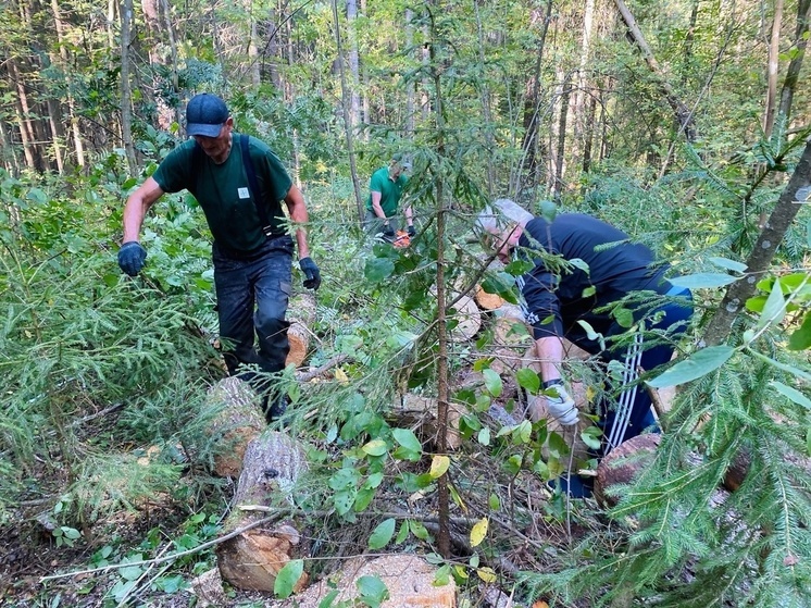 В Бокситогорском районе привели в порядок городской парк