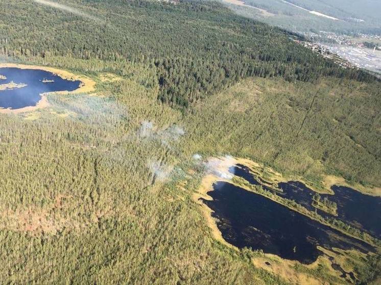 В Орехово-Зуевском округе лесной пожар тушили 1,5 часа