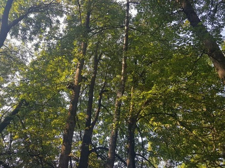 Евгений Тишковец: в Подмосковье продолжается лето