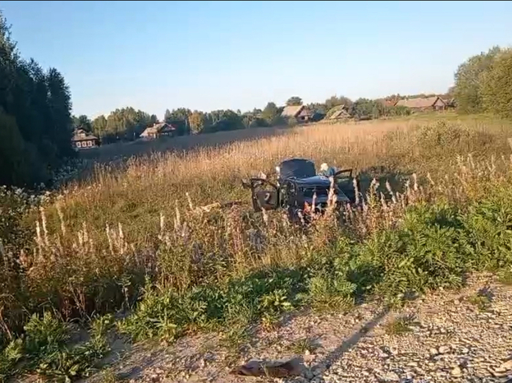Мужчина погиб и 2 детей получили травмы в ДТП в Нижегородской области