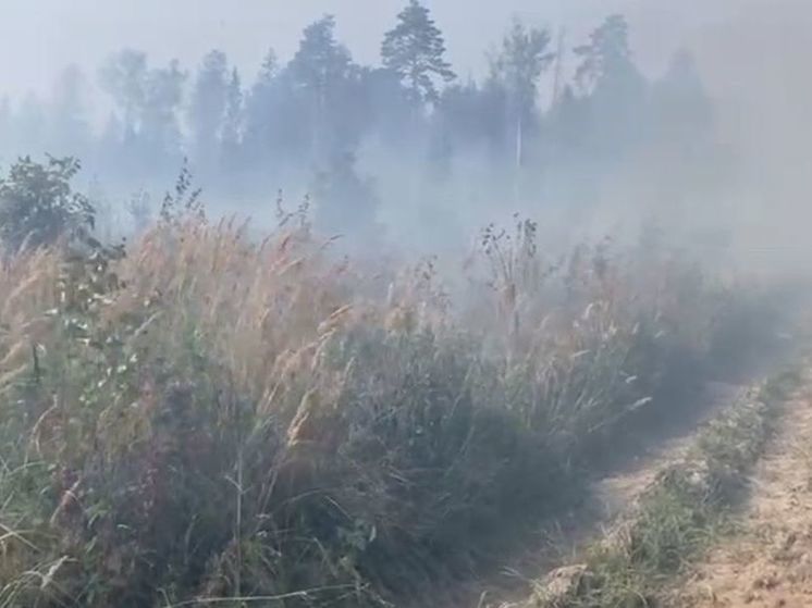 7 часов тушили пожар в округе Пушкинский Подмосковья