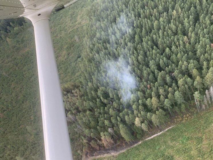 В округе Мытищи заметили возгорание в лесу в 2 км от Юдино