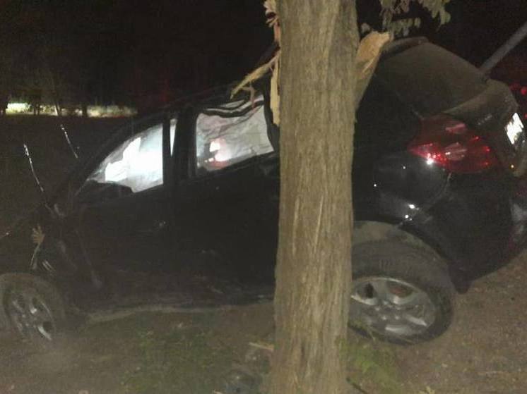 В Красногвардейском районе водитель легковушки погиб после столкновения с деревом