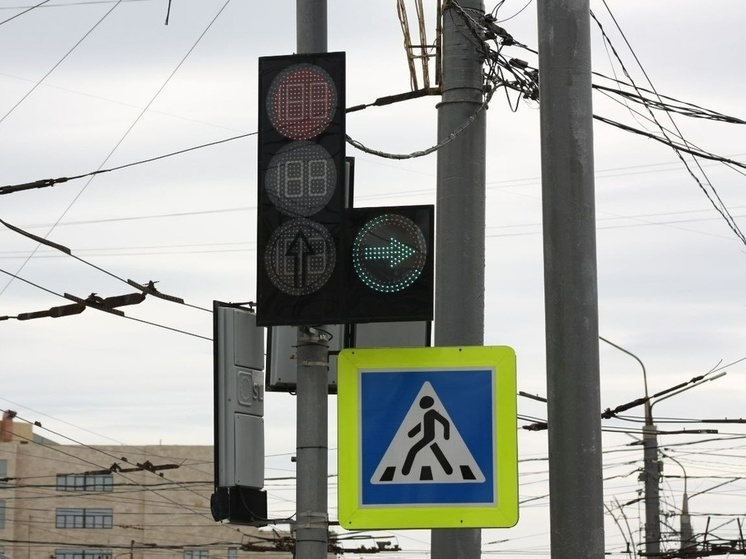 В Туле обустроили 269 пешеходных переходов рядом со школами
