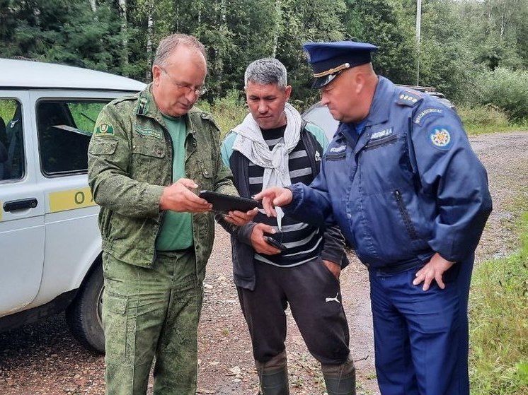 Свыше 300 патрулирований провели в лесах Подмосковья за выходные