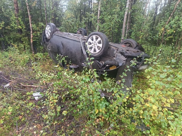 Два пожилых человека пострадали в ДТП на Кольской трассе