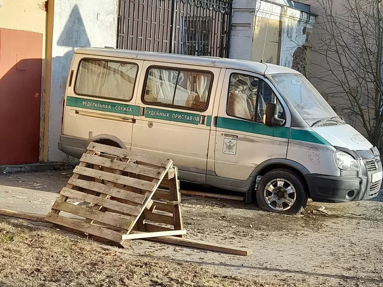 В Новгородской области провели акцию «Собери ребенка в школу: заплати алименты»