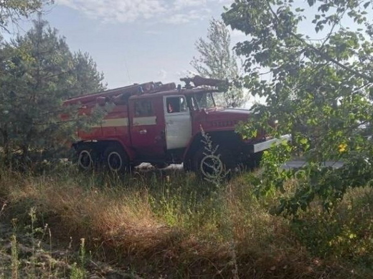 В Курской области ликвидировали угрозу лесного пожара в Обоянском районе