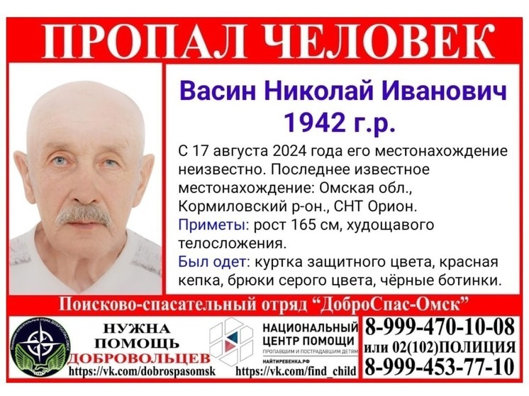 В Омске более двух недель ищут 82-летнего мужчину