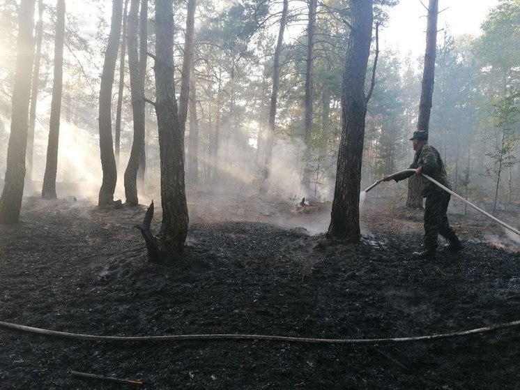В округе Ступино вспыхнули 2 лесных пожара за сутки