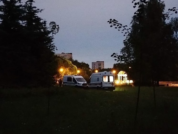 В Петербурге полиция задержала троих мигрантов, грузивших тело девушки в машину