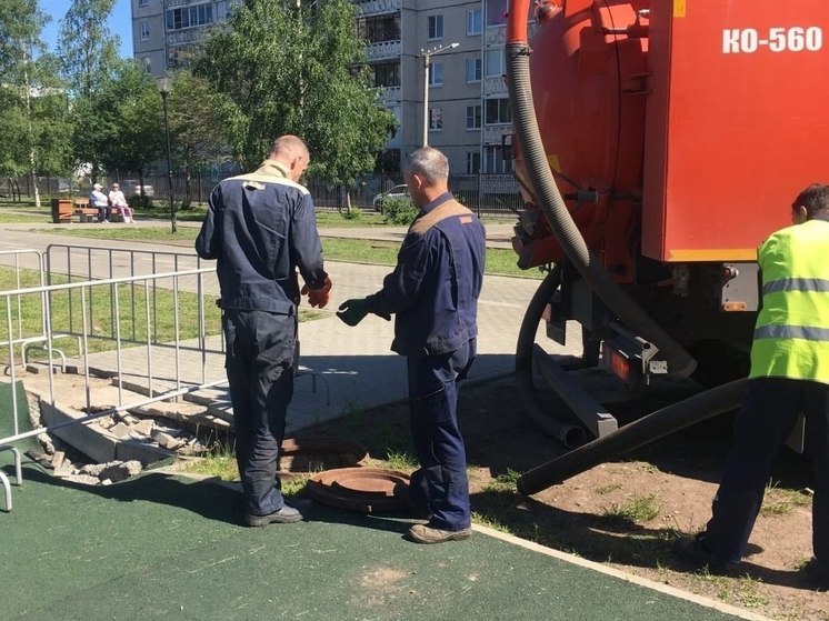 Сломанные качели и скамейки отремонтируют на Березовой аллее в Петрозаводске