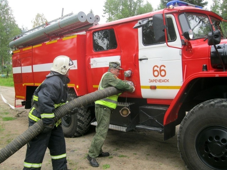 Пожар около автодороги потушили в Кандалакшском районе