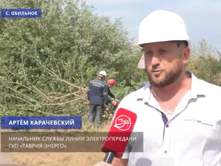 По всей Запорожской области расчищают трассы линий электропередач