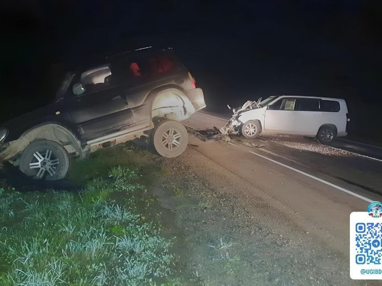 Водитель иномарки пострадал в лобовом ДТП в Анивском районе