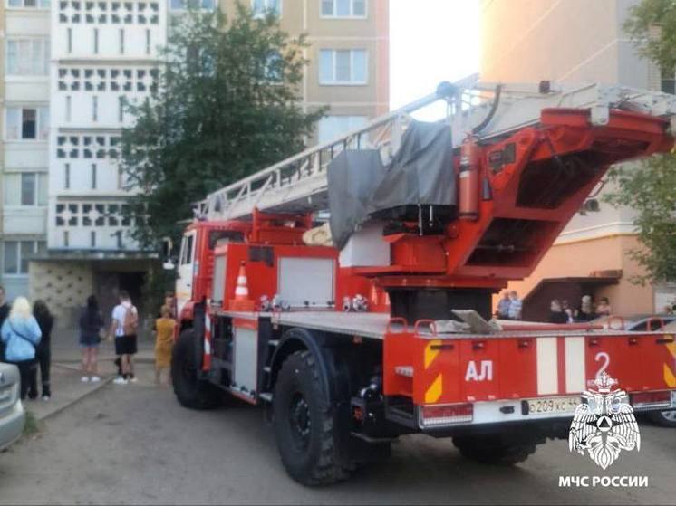 Костромские спасатели тушили «дистанционный пожар»