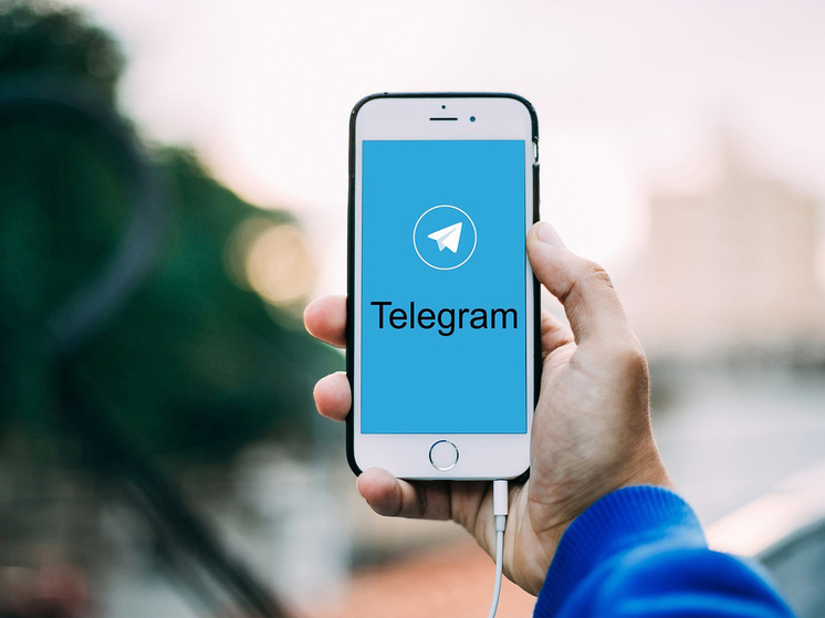 Владимир Бебех: «Не отдам Telegram!»