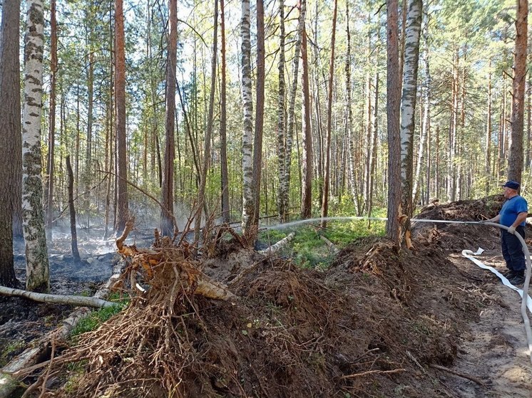 Торфяной пожар вспыхнул в округе Шатура