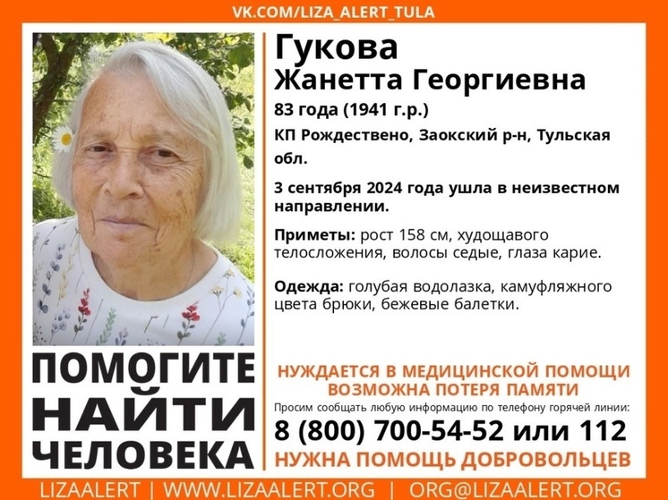В Тульской области пропала 83-летняя местная жительница