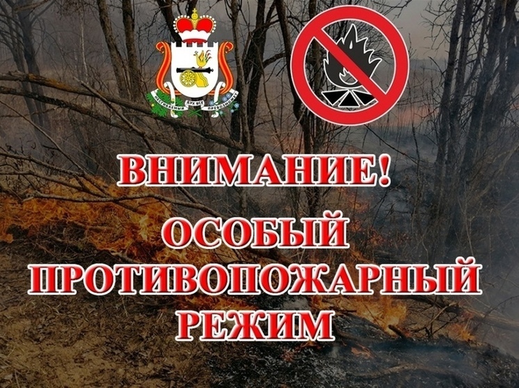 На юге Смоленской области введен особый противопожарный режим