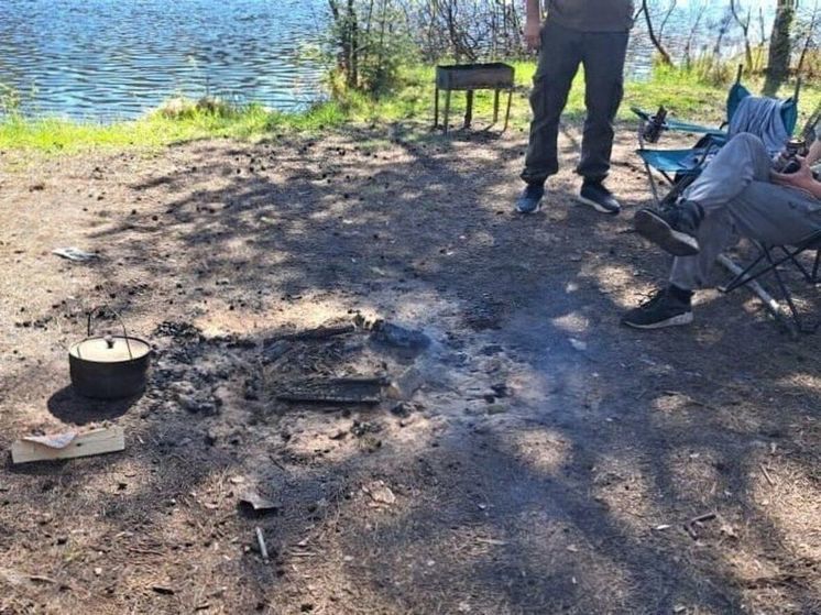 В лесу округа Домодедово заметили любителей шашлыков