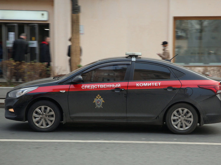 СК привлечет мигранта в Истре за преследование девушки