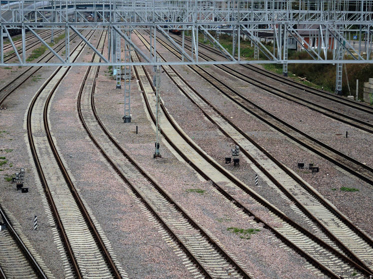 Женщина попала под колеса поезда в Ступинском округе