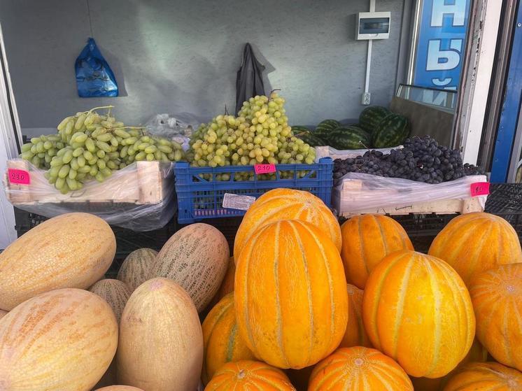 Какие сезонные продукты можно безопасно покупать в сентябре рассказали на Новомосковском рынке