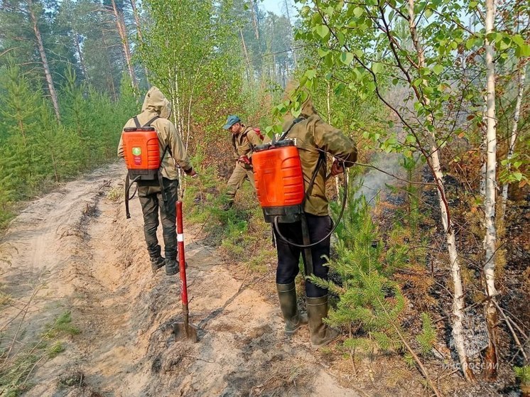 В Якутии более 200 огнеборцев тушат лесные пожары