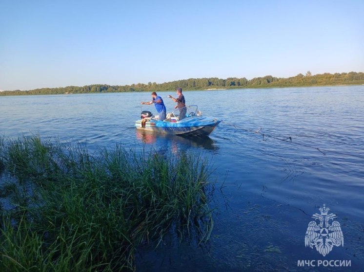 В Муроме на реке Ока утонул мужчина