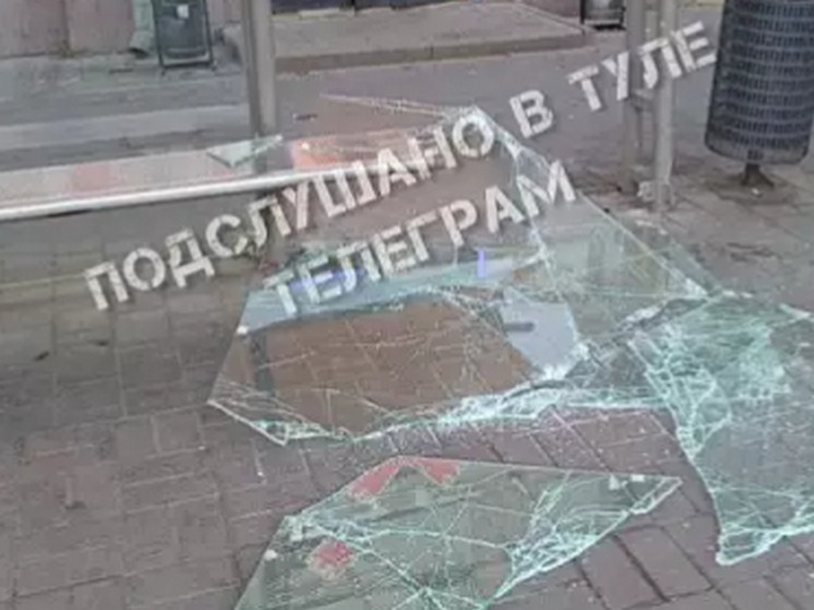 На улице Советской в Туле вандалы разгромили остановку
