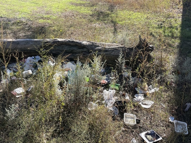 В Воронеже парк «Совёнок» находится в ужасном состоянии