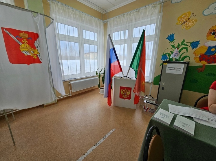 Более 16 тысяч молодых вологжан впервые примут участие в выборах губернатора